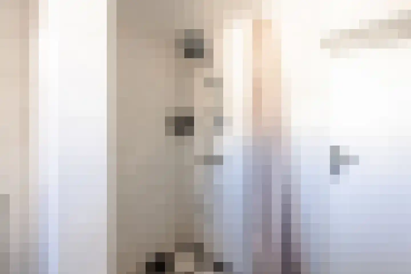 Kleine Buren 3 Pingjum thumbnail 13