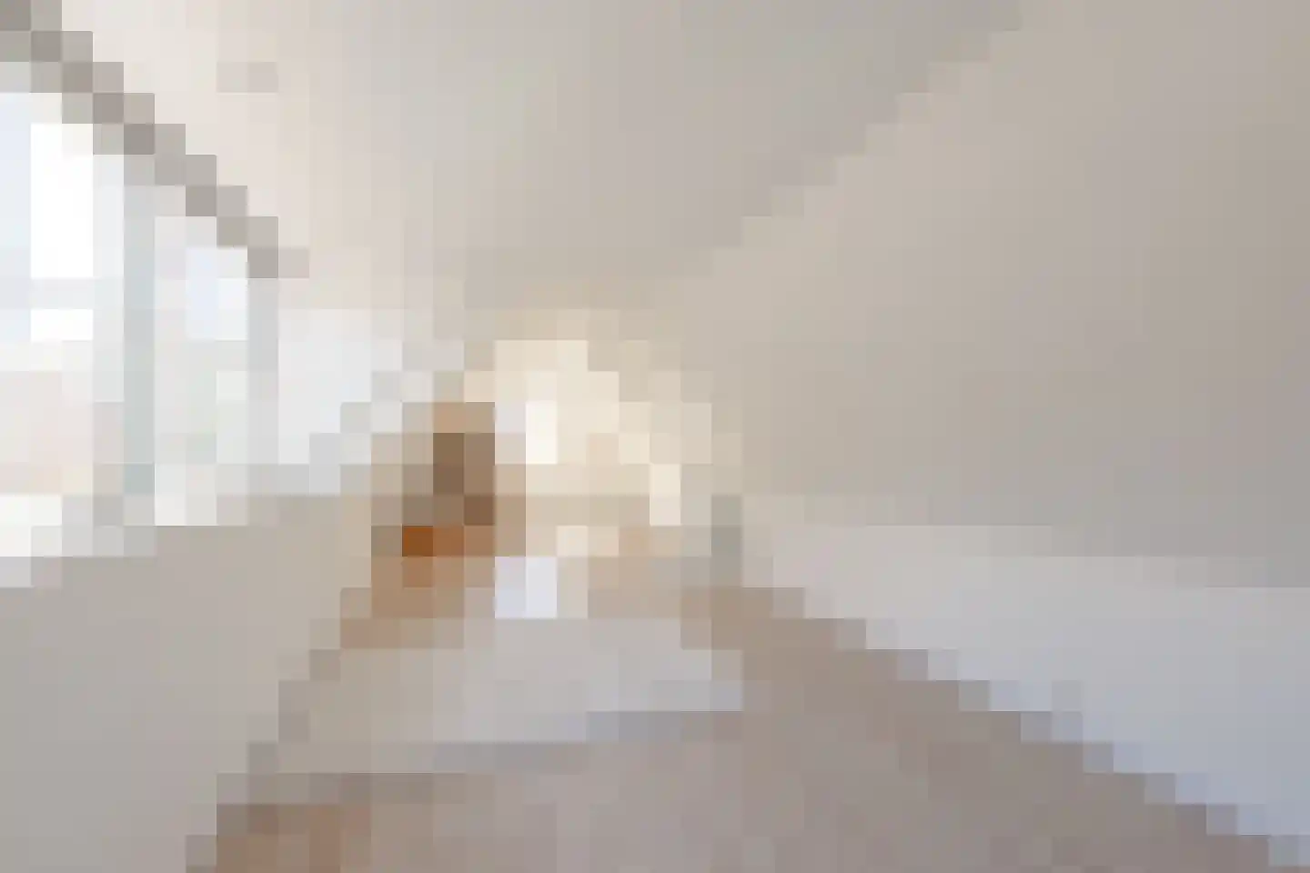 Kleine Buren 3 Pingjum thumbnail 14