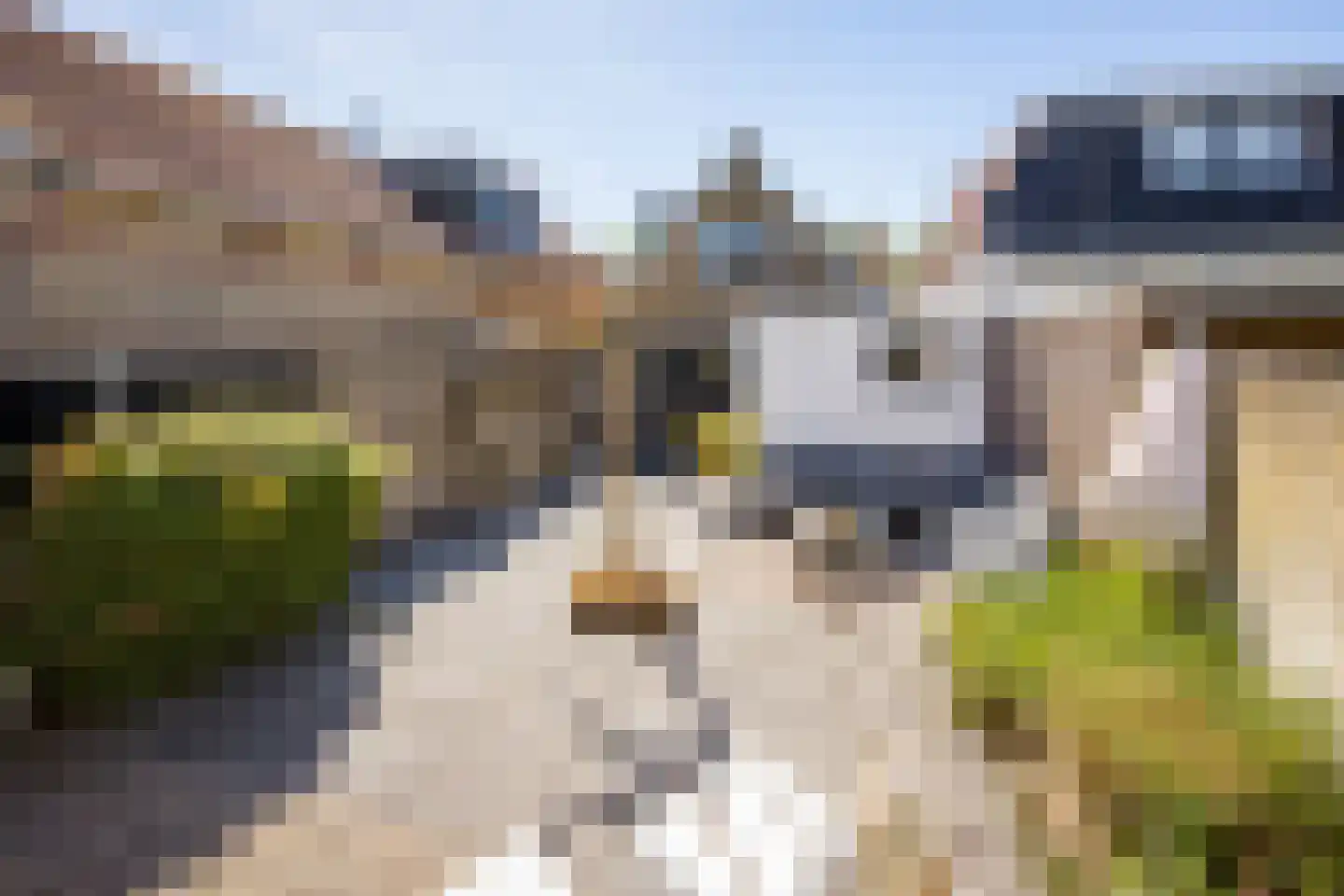 Kleine Buren 3 Pingjum thumbnail 16