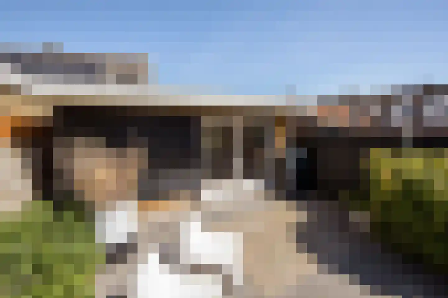 Kleine Buren 3 Pingjum thumbnail 17