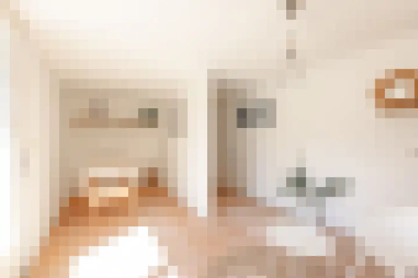 Kleine Buren 3 Pingjum thumbnail 18