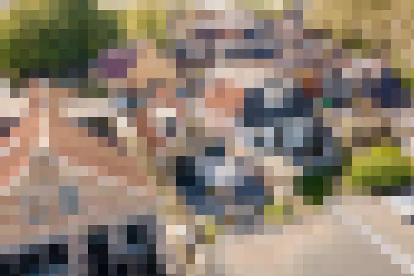 Kleine Buren 3 Pingjum thumbnail 20