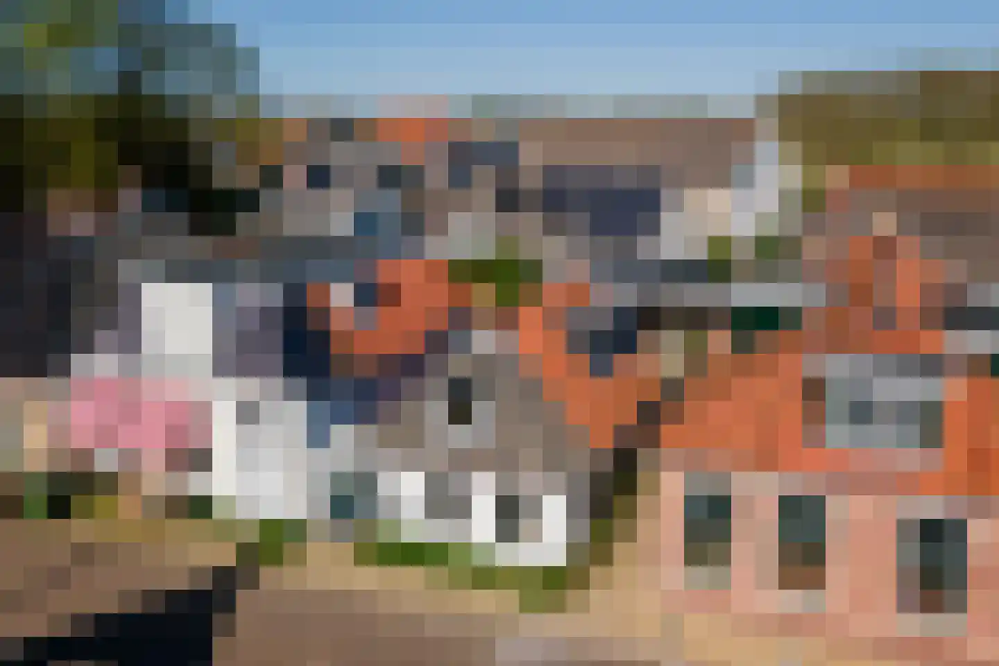 Kleine Buren 3 Pingjum thumbnail 21