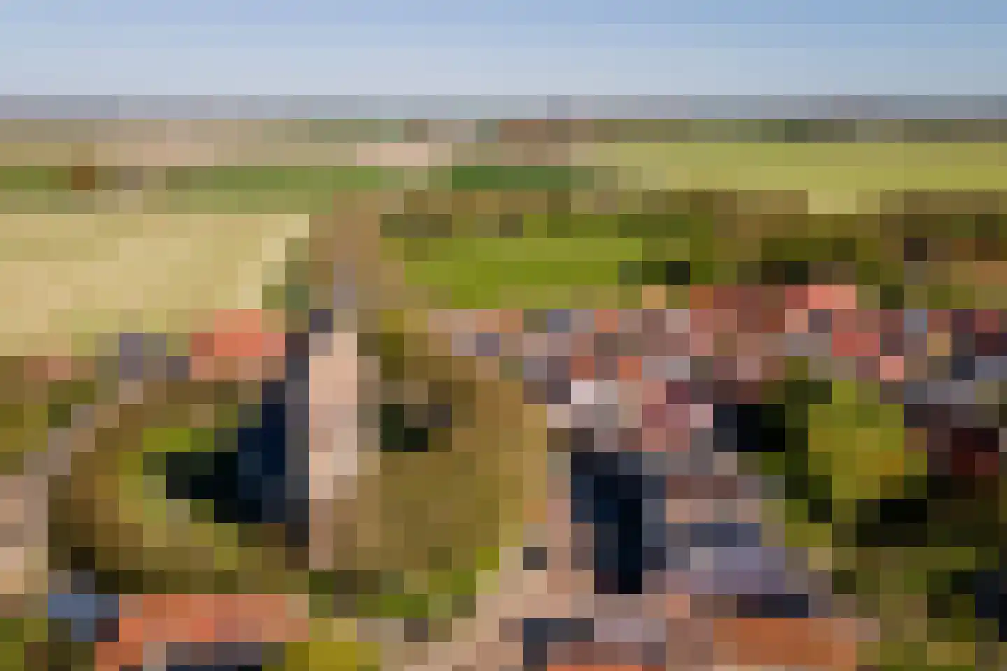 Kleine Buren 3 Pingjum thumbnail 23