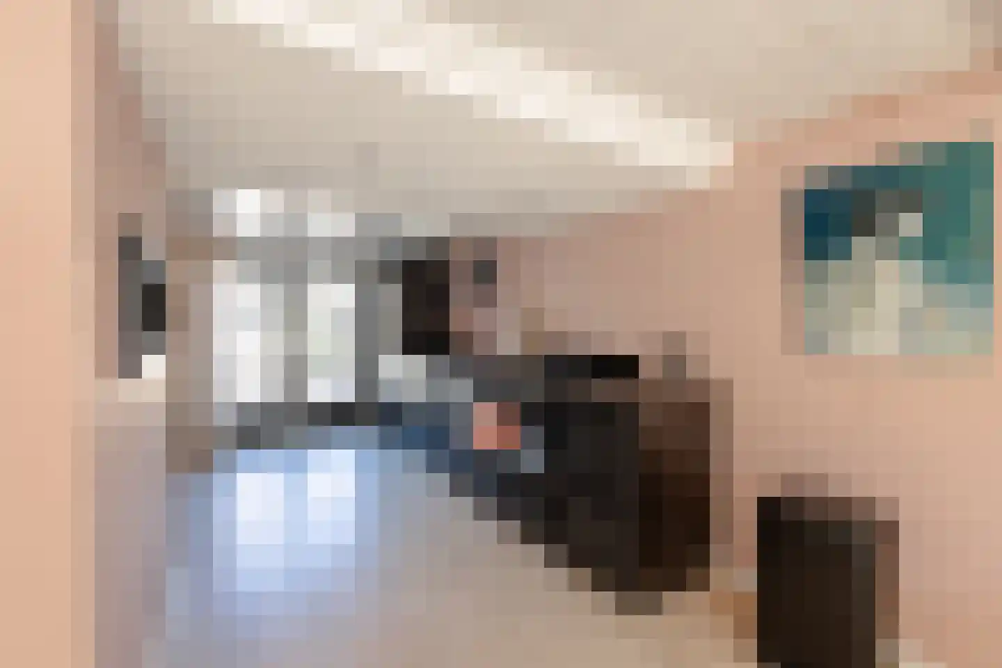 Kleine Buren 3 Pingjum thumbnail 4