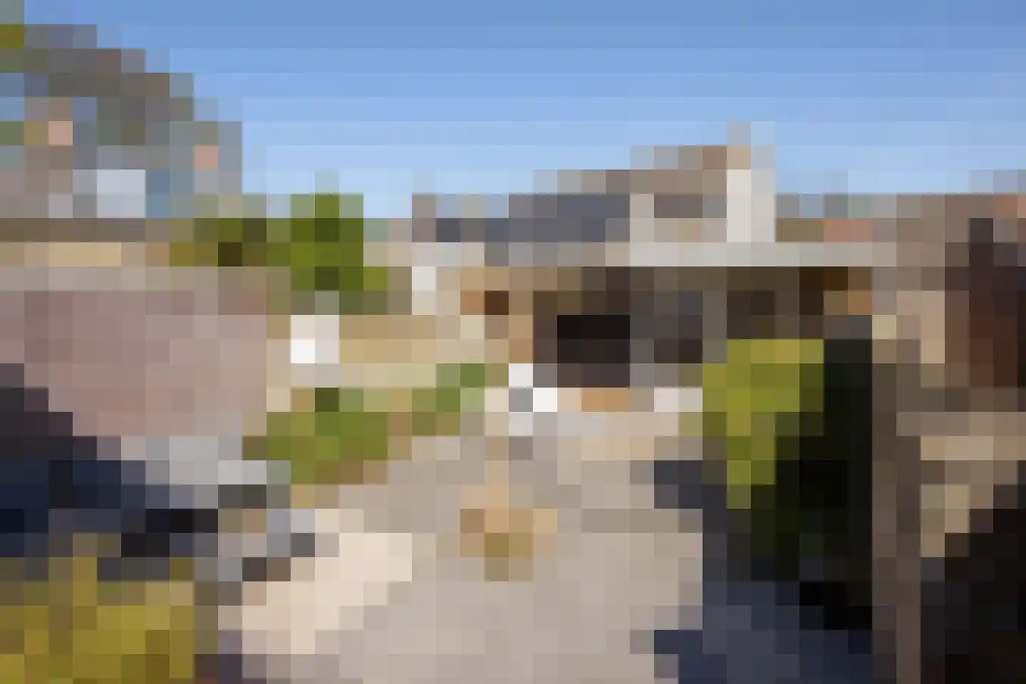 Kleine Buren 3 Pingjum thumbnail 5