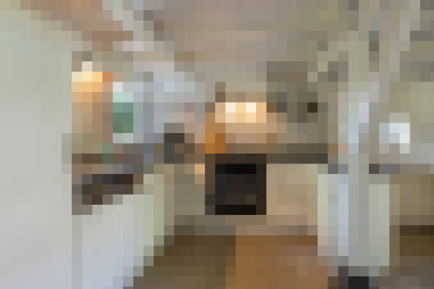 Kleine Buren 35 Wergea thumbnail 11