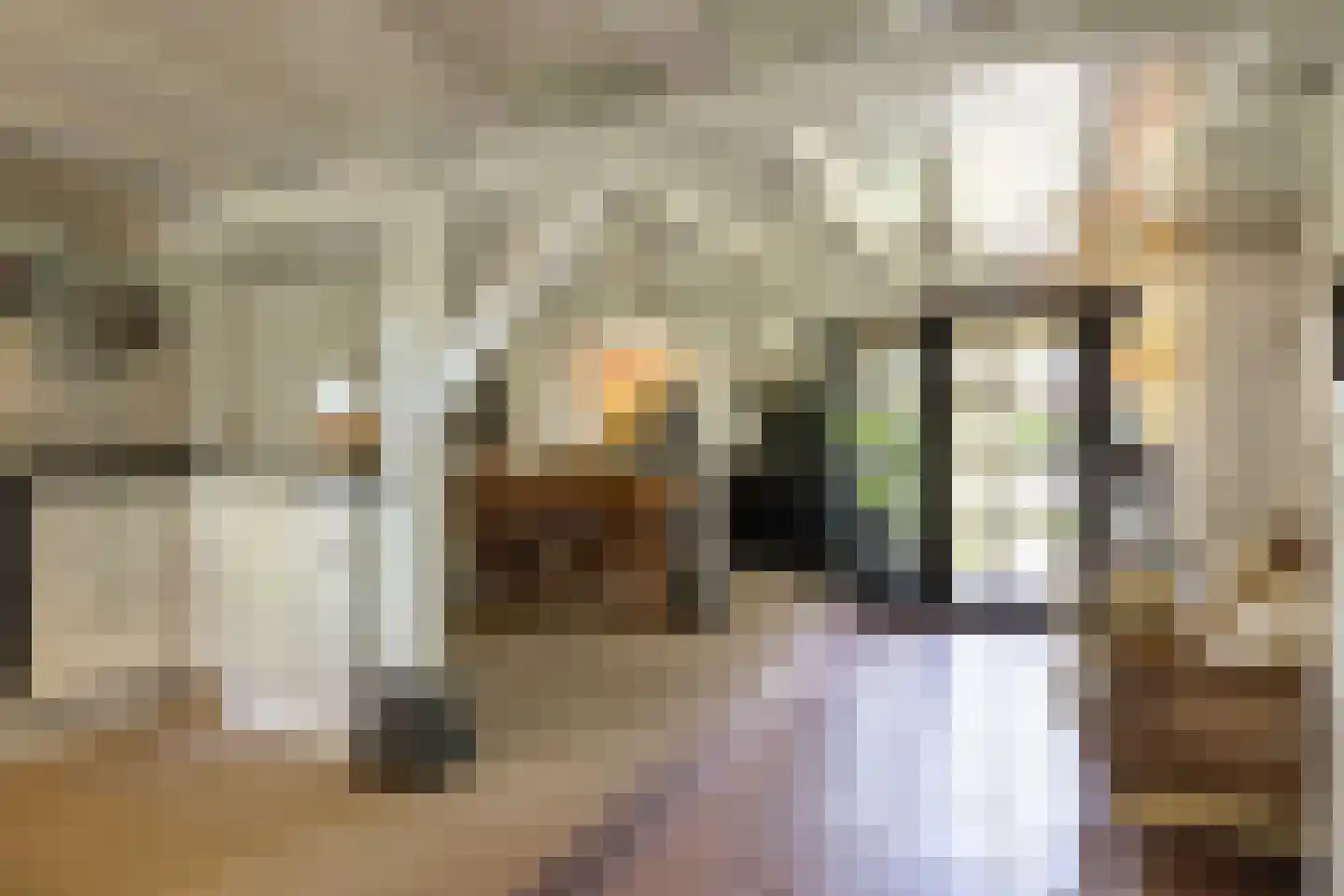 Kleine Buren 35 Wergea thumbnail 13