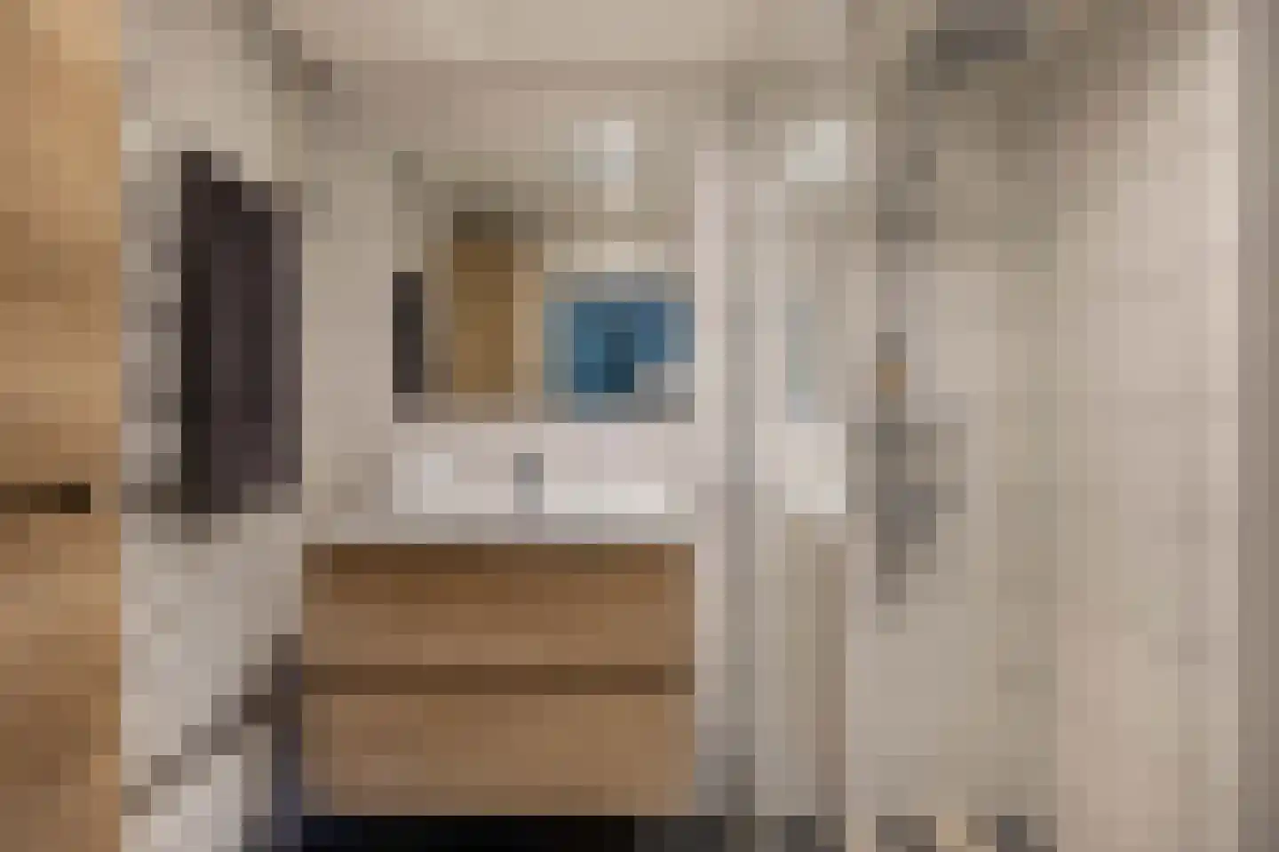Kleine Buren 35 Wergea thumbnail 22