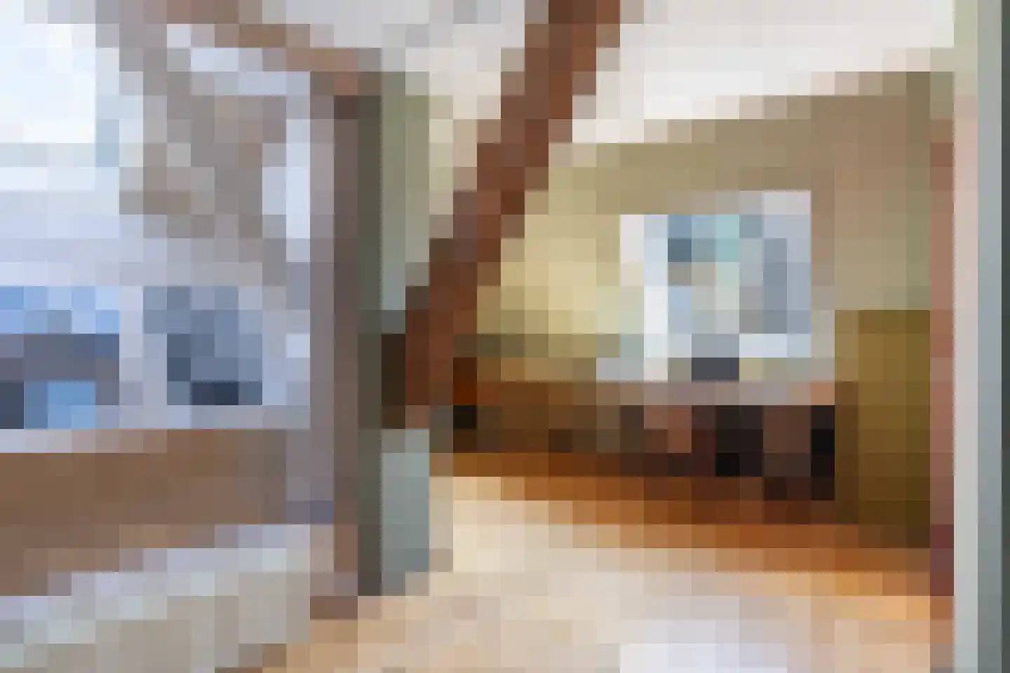 Kleine Buren 35 Wergea thumbnail 27