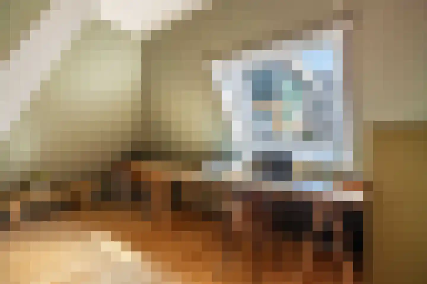 Kleine Buren 35 Wergea thumbnail 28
