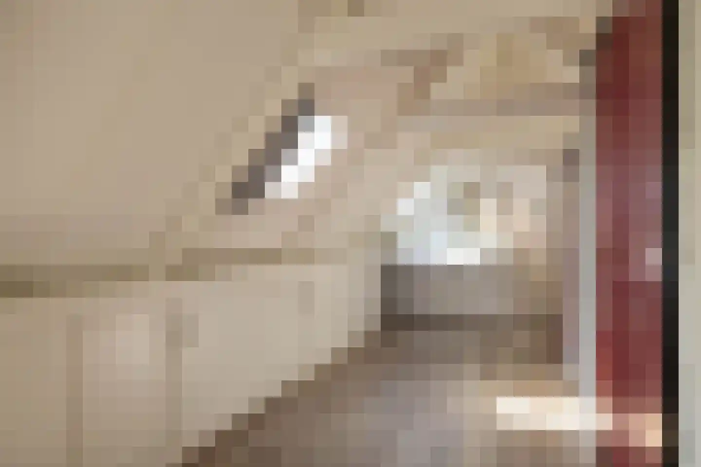 Kleine Buren 35 Wergea thumbnail 32