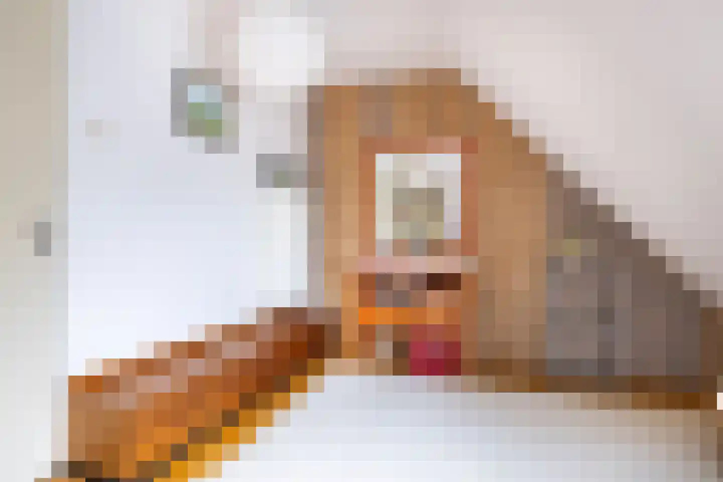 Kleine Buren 35 Wergea thumbnail 37