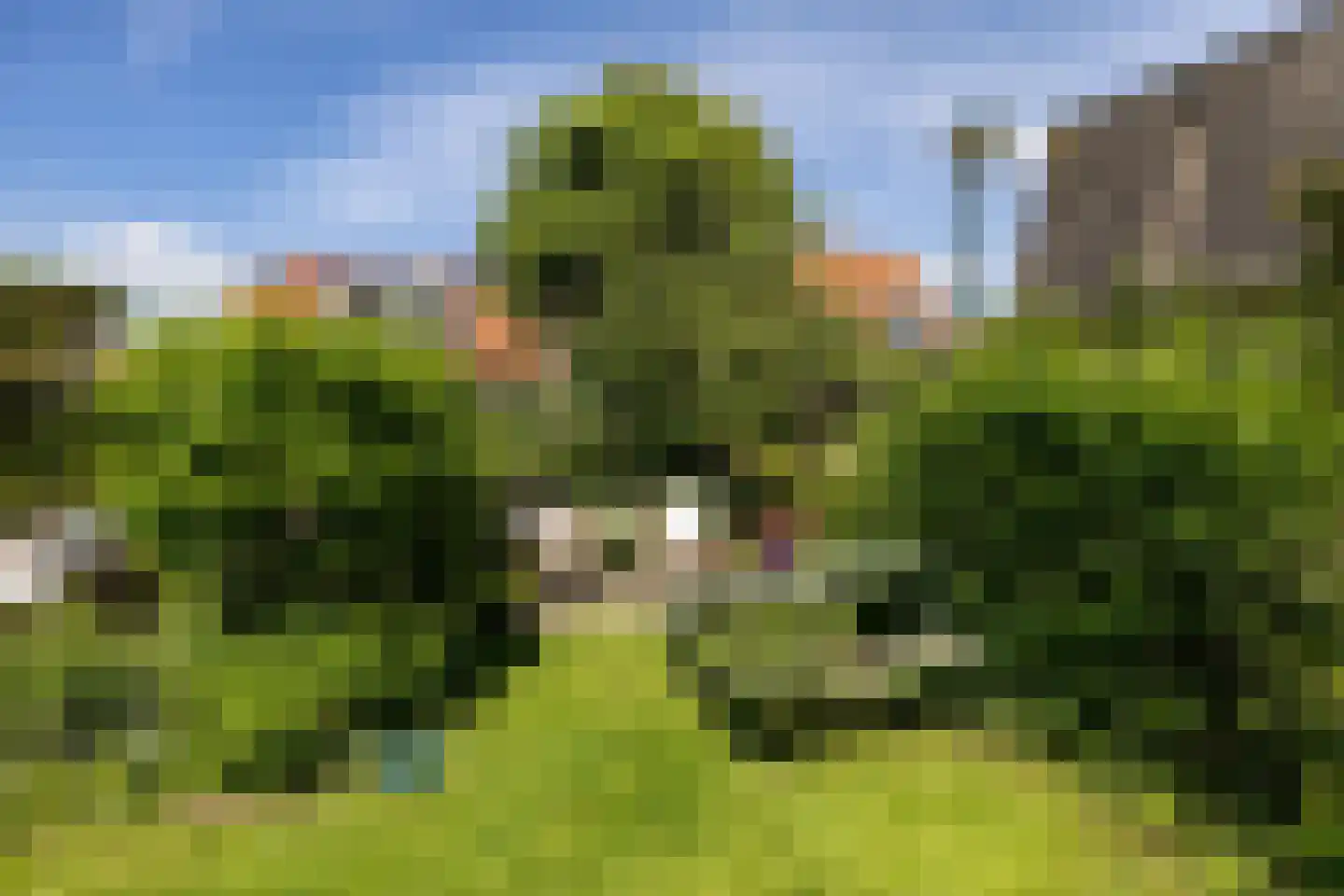 Kleine Buren 35 Wergea thumbnail 39