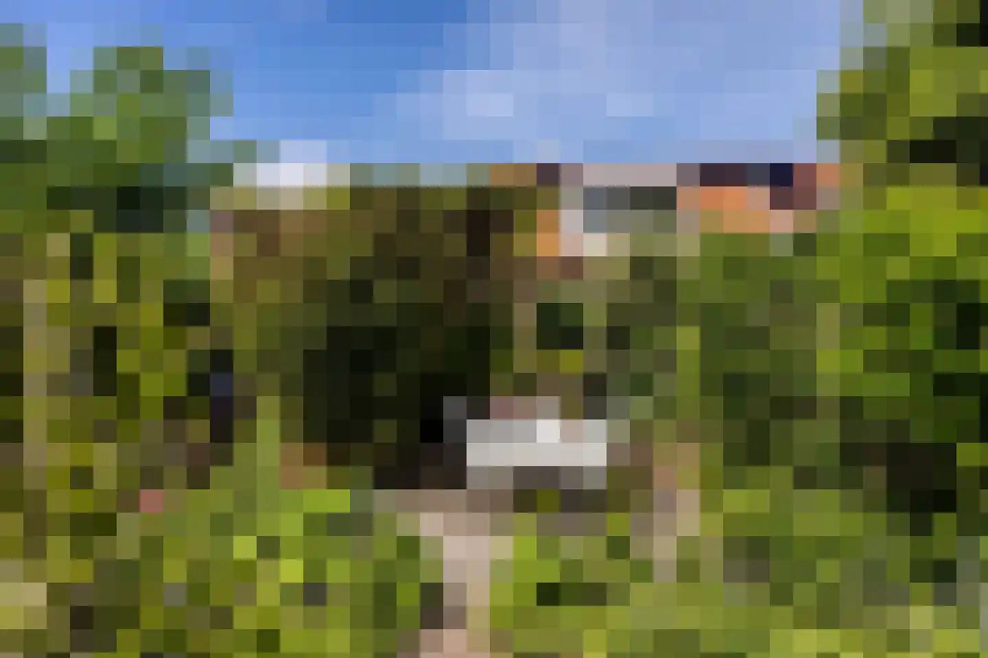 Kleine Buren 35 Wergea thumbnail 40