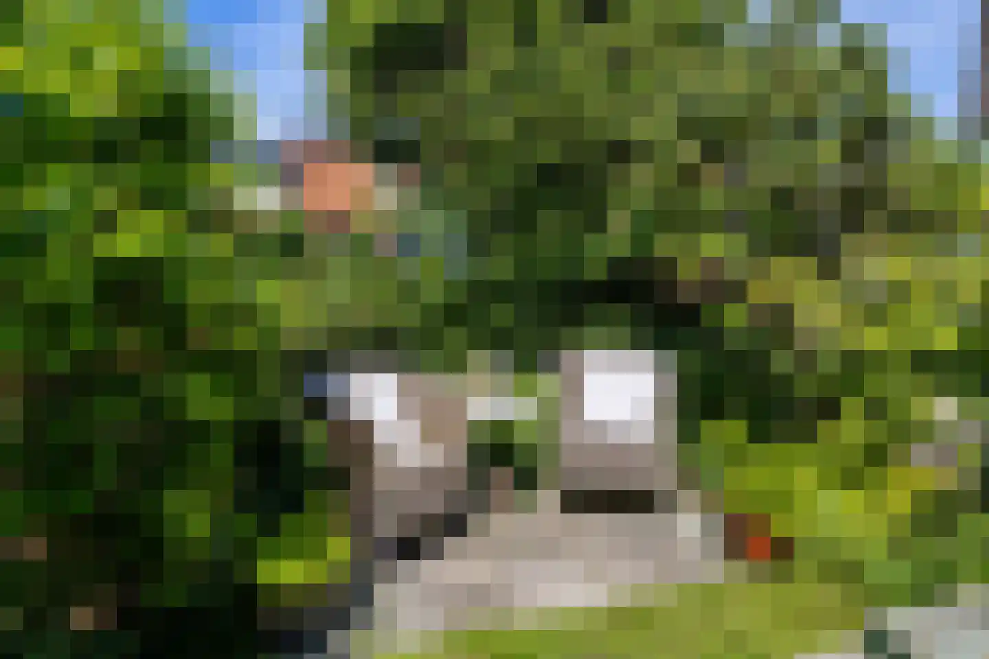 Kleine Buren 35 Wergea thumbnail 42