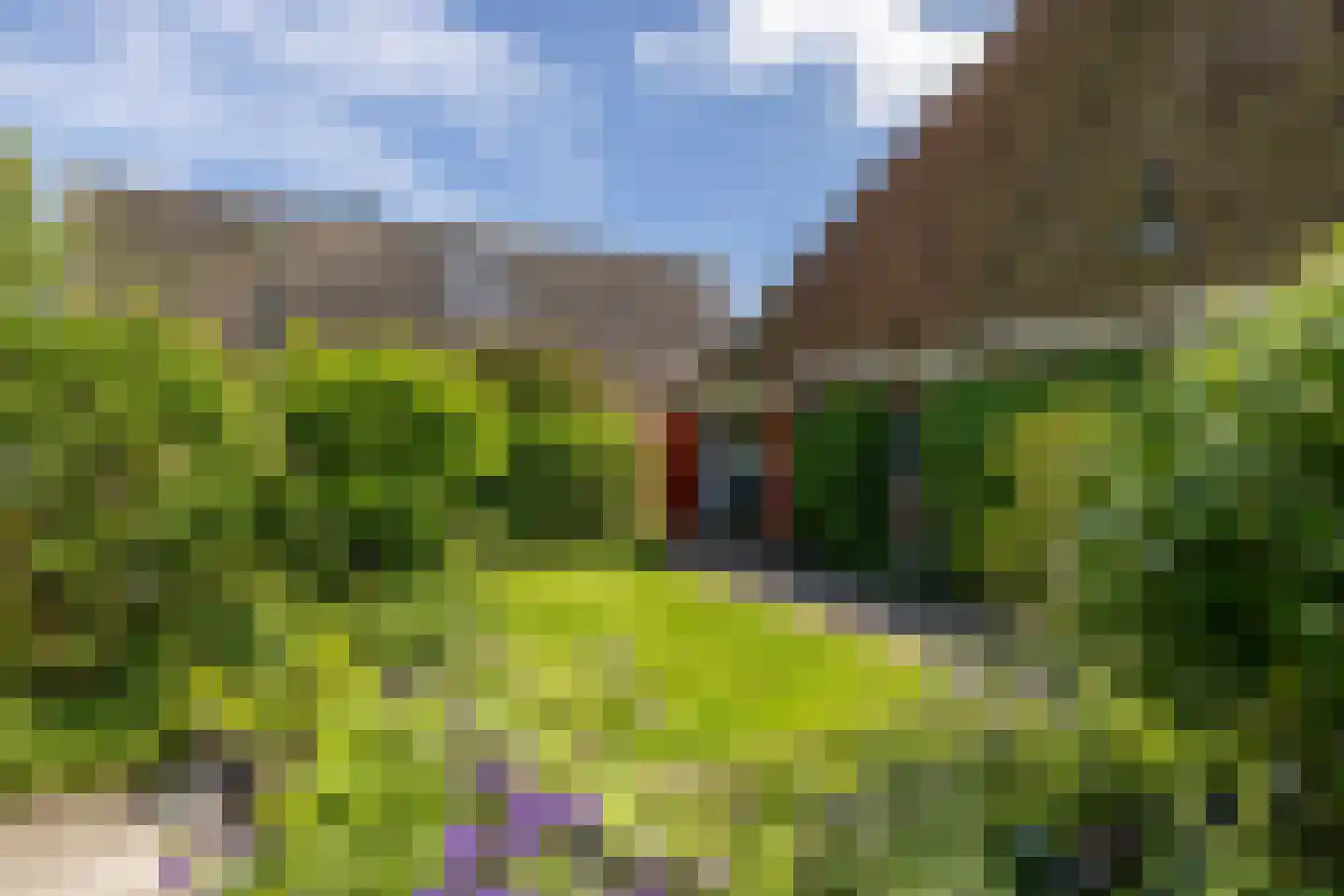 Kleine Buren 35 Wergea thumbnail 46
