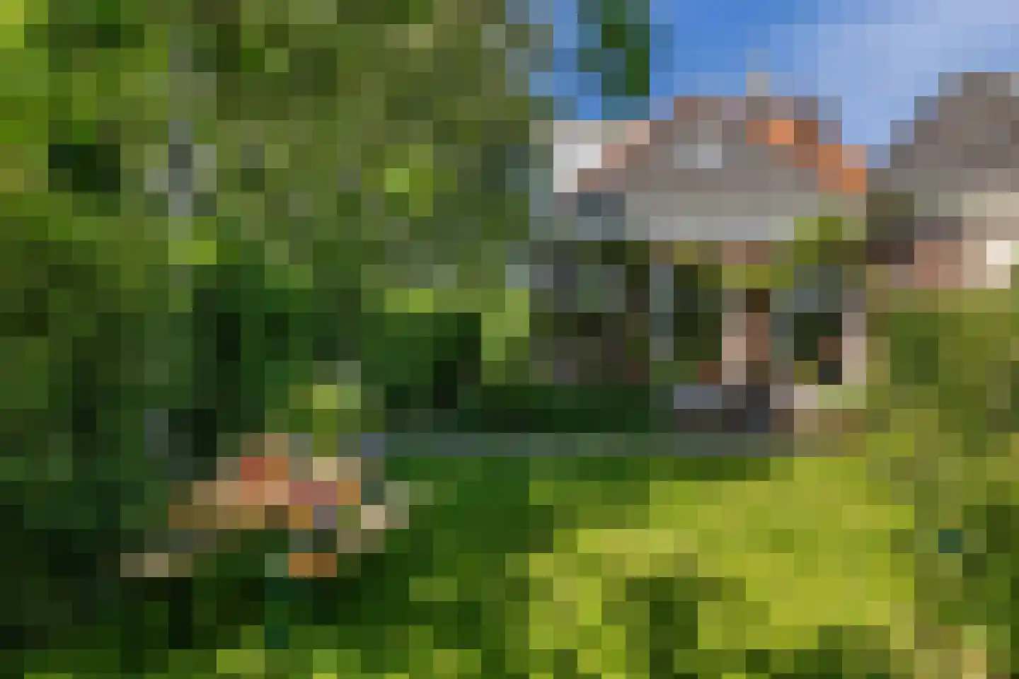 Kleine Buren 35 Wergea thumbnail 5