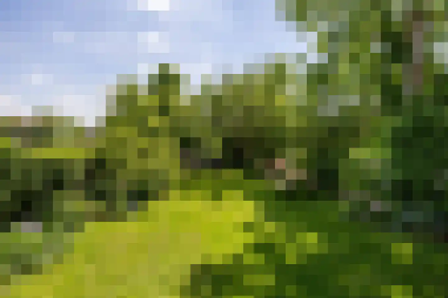 Kleine Buren 35 Wergea thumbnail 59