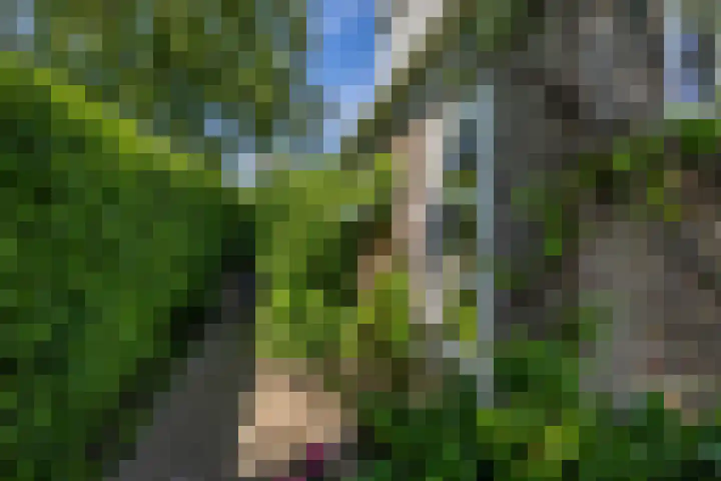 Kleine Buren 35 Wergea thumbnail 64