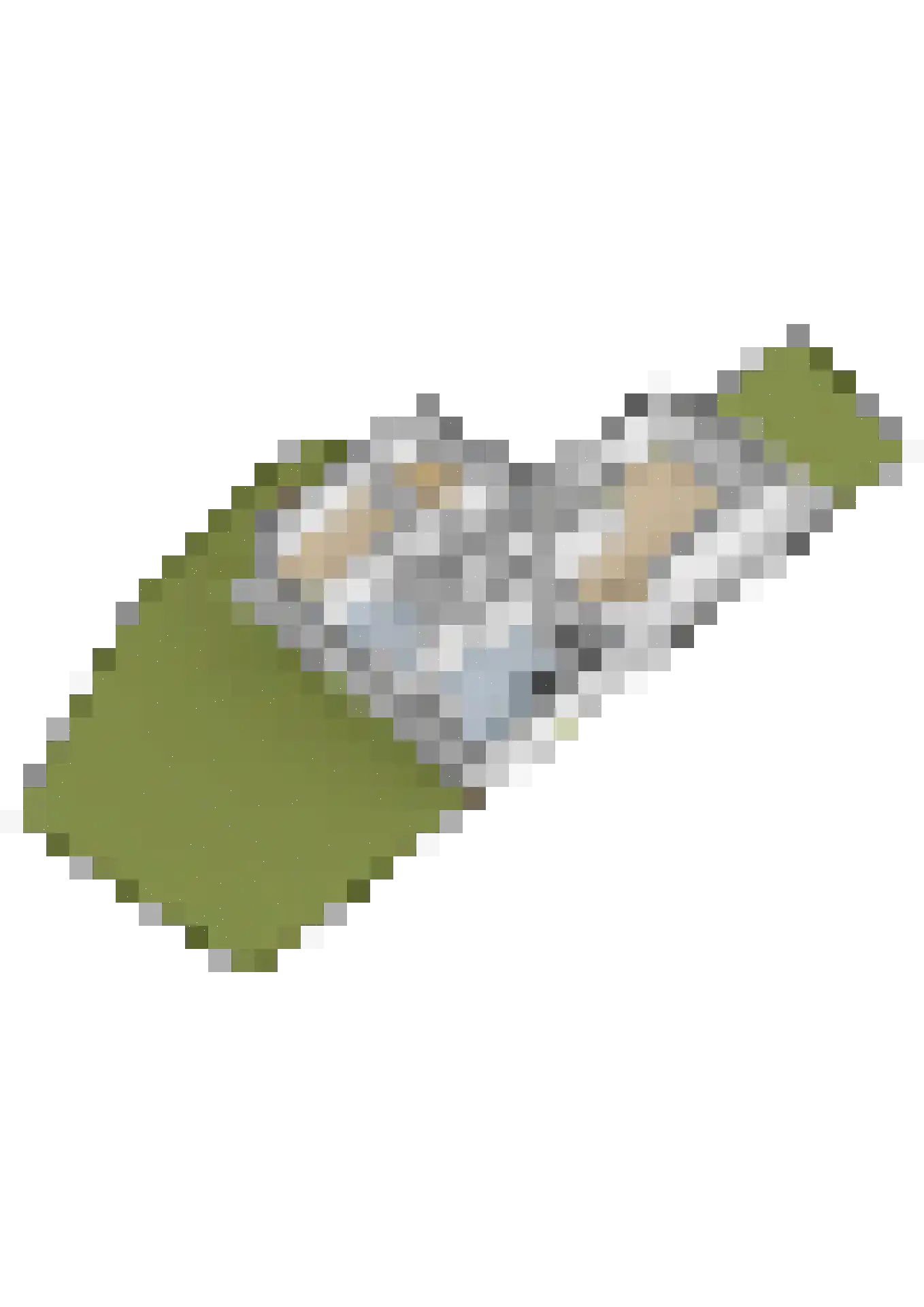 Kleine Buren 35 Wergea thumbnail 75