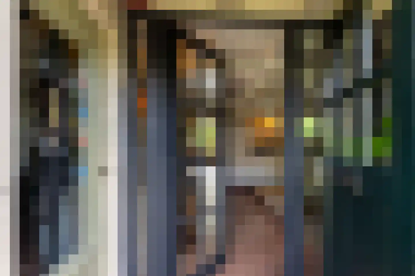 Kleine Buren 35 Wergea thumbnail 9