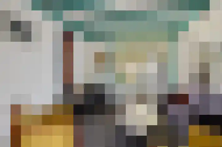 Kleine Buren 8 Grou thumbnail 14