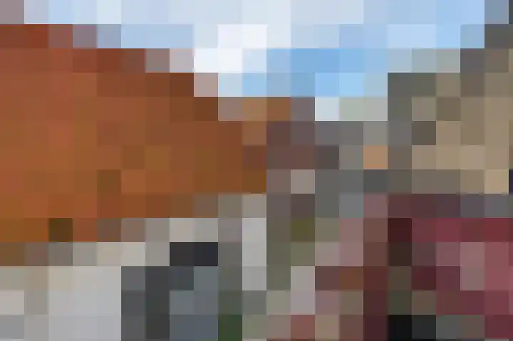 Kleine Buren 8 Grou thumbnail 20