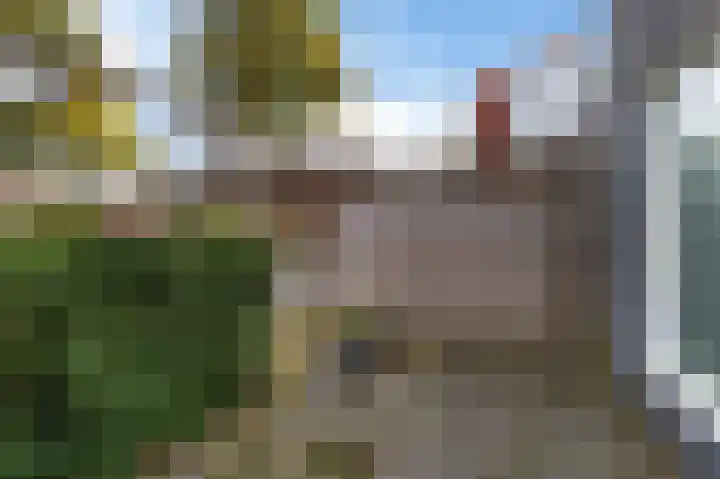 Kleine Buren 8 Grou thumbnail 22