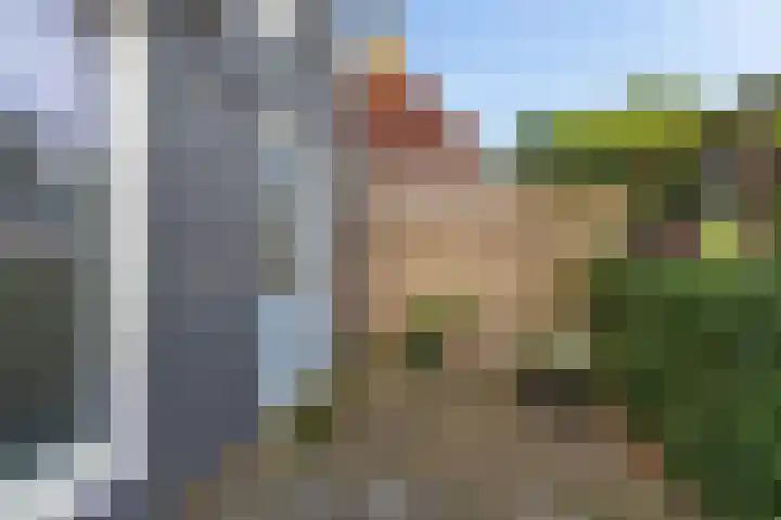 Kleine Buren 8 Grou thumbnail 23