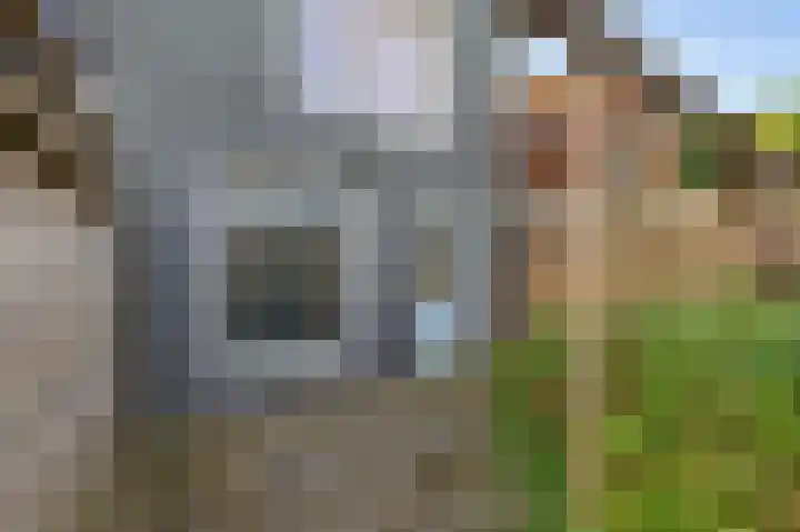 Kleine Buren 8 Grou thumbnail 24