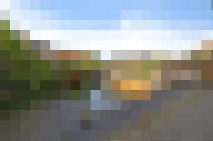 Kleine Buren 8 Grou thumbnail 25