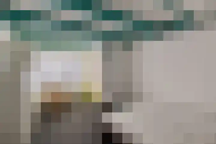 Kleine Buren 8 Grou thumbnail 6