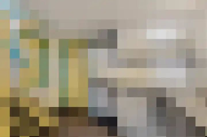 Kleine Buren 8 Grou thumbnail 8