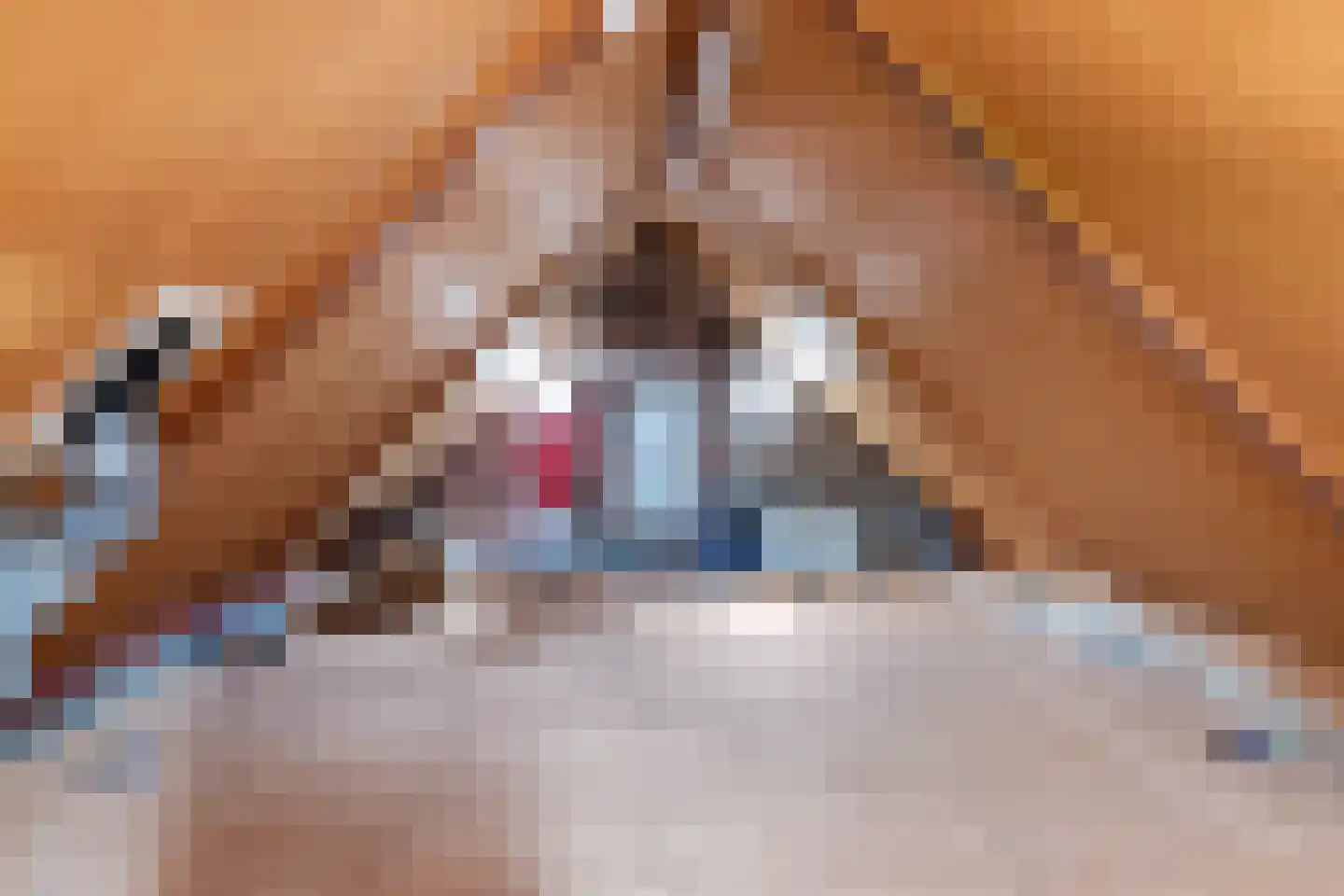 Kleine Dam 4 De Rijp thumbnail 39