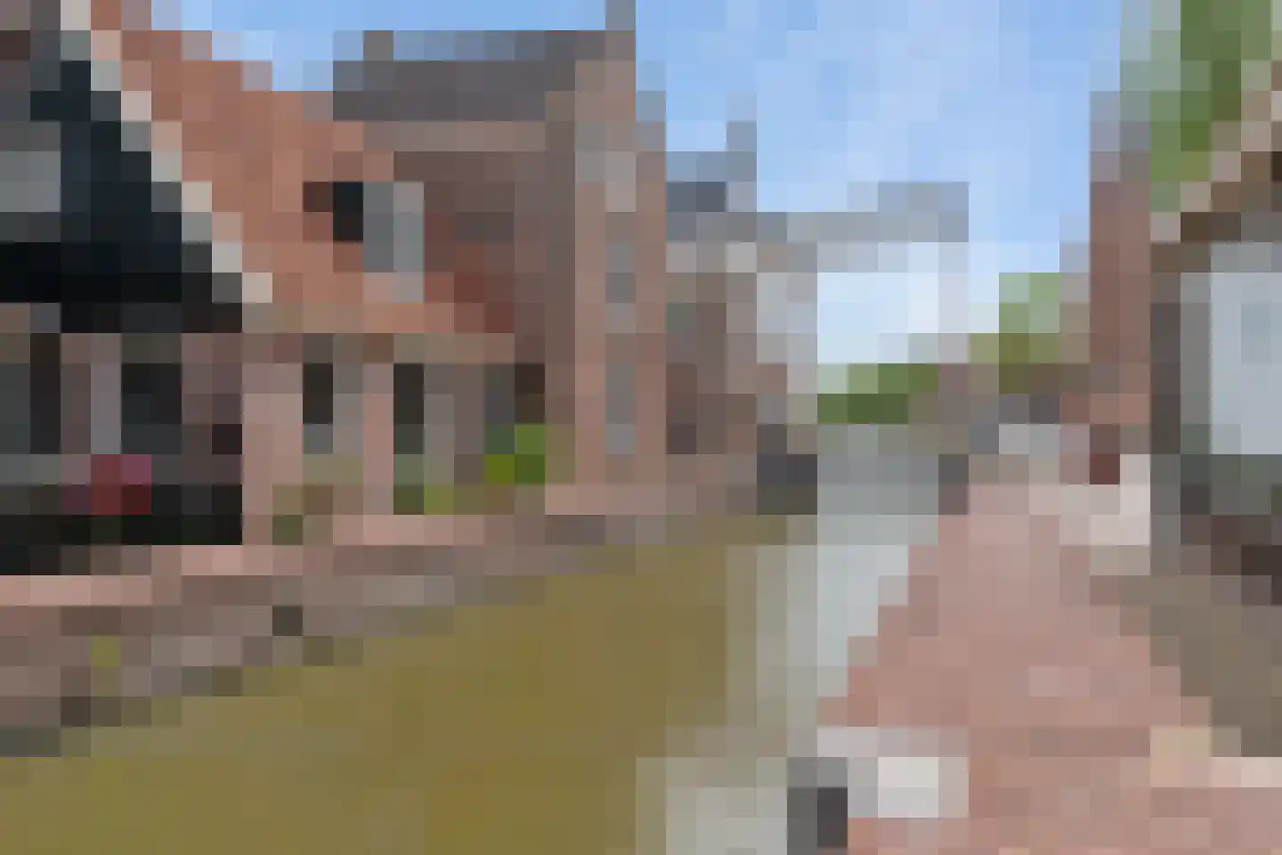 Kleine Dam 4 De Rijp thumbnail 6
