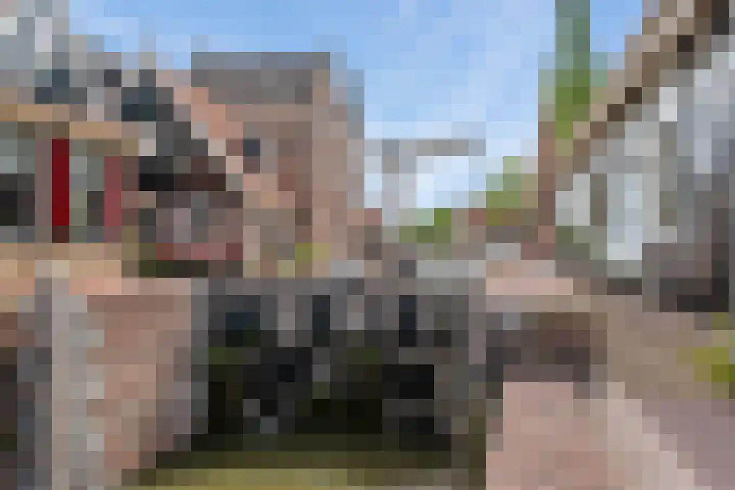 Kleine Dam 4 De Rijp thumbnail 7