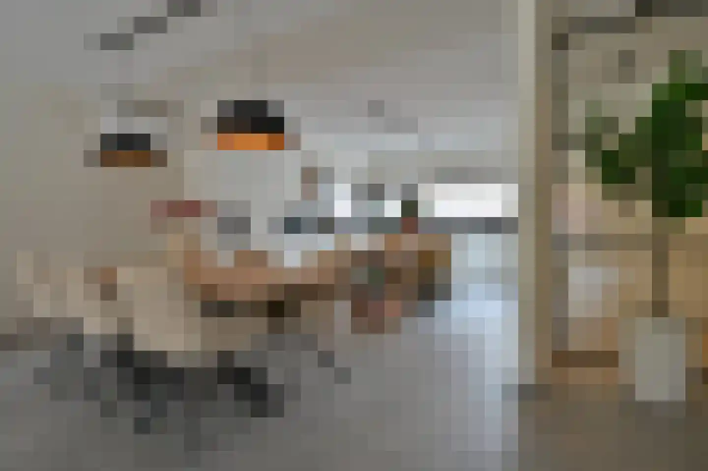 Kleine Dijkje 3620 Lanaken Maastricht thumbnail 7