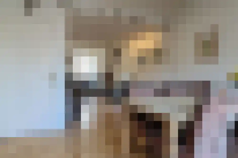Kleine Dijlakker 19 Bolsward thumbnail 7