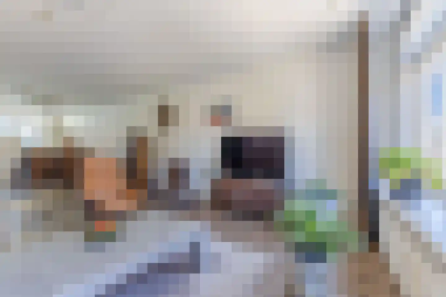 Kleine Dijlakker 2 Bolsward thumbnail 10