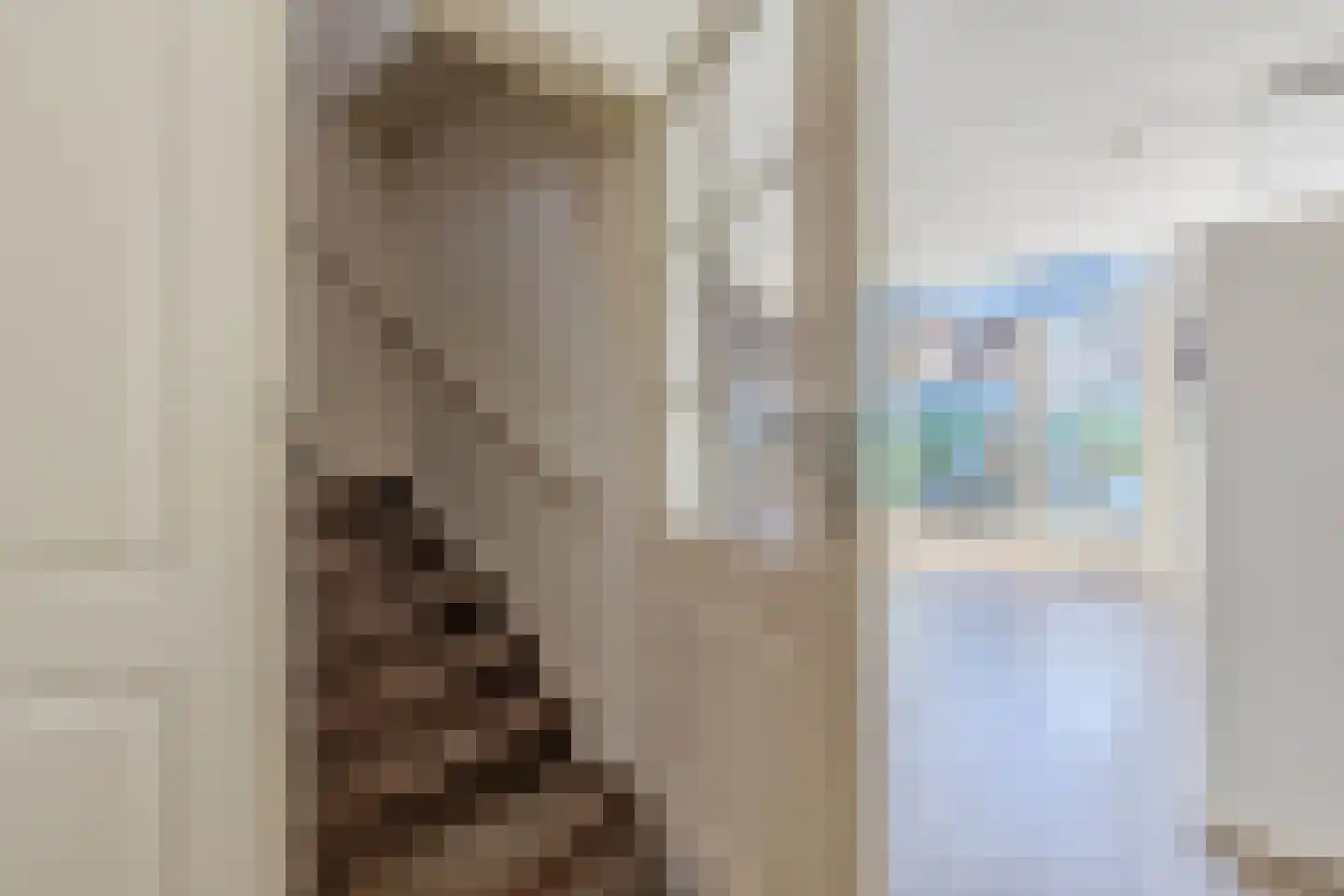Kleine Dijlakker 2 Bolsward thumbnail 20