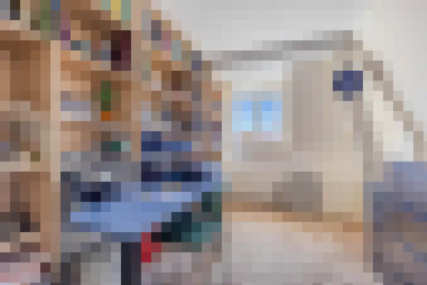 Kleine Dijlakker 2 Bolsward thumbnail 25