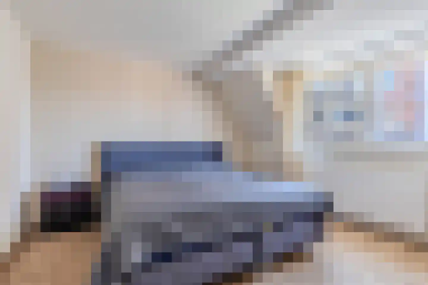 Kleine Dijlakker 2 Bolsward thumbnail 27