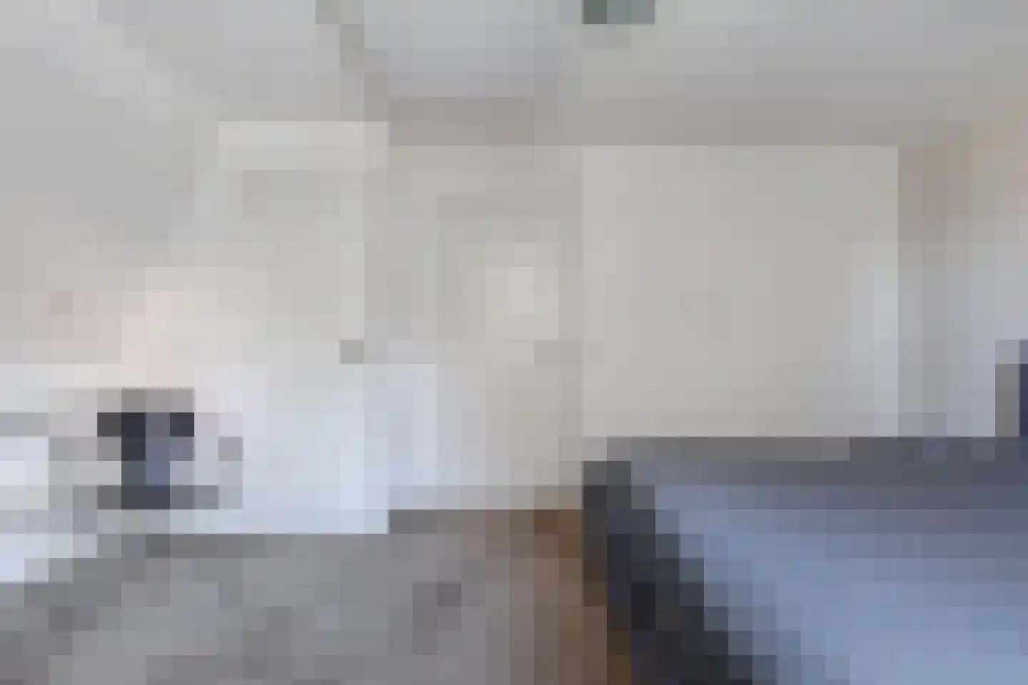 Kleine Dijlakker 2 Bolsward thumbnail 29