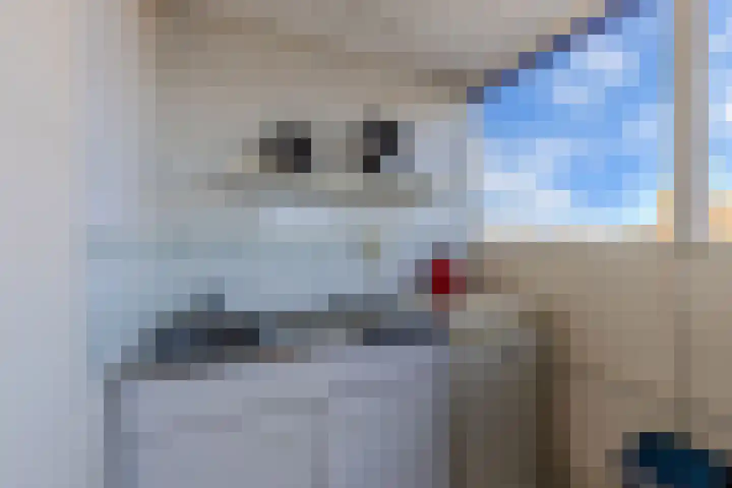 Kleine Dijlakker 2 Bolsward thumbnail 33