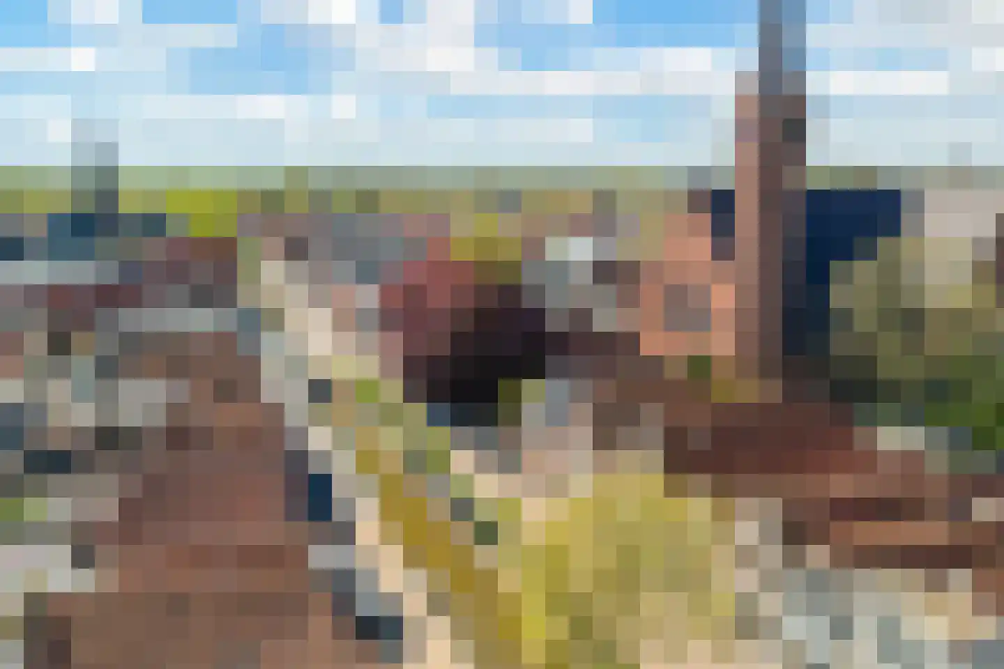 Kleine Dijlakker 2 Bolsward thumbnail 40