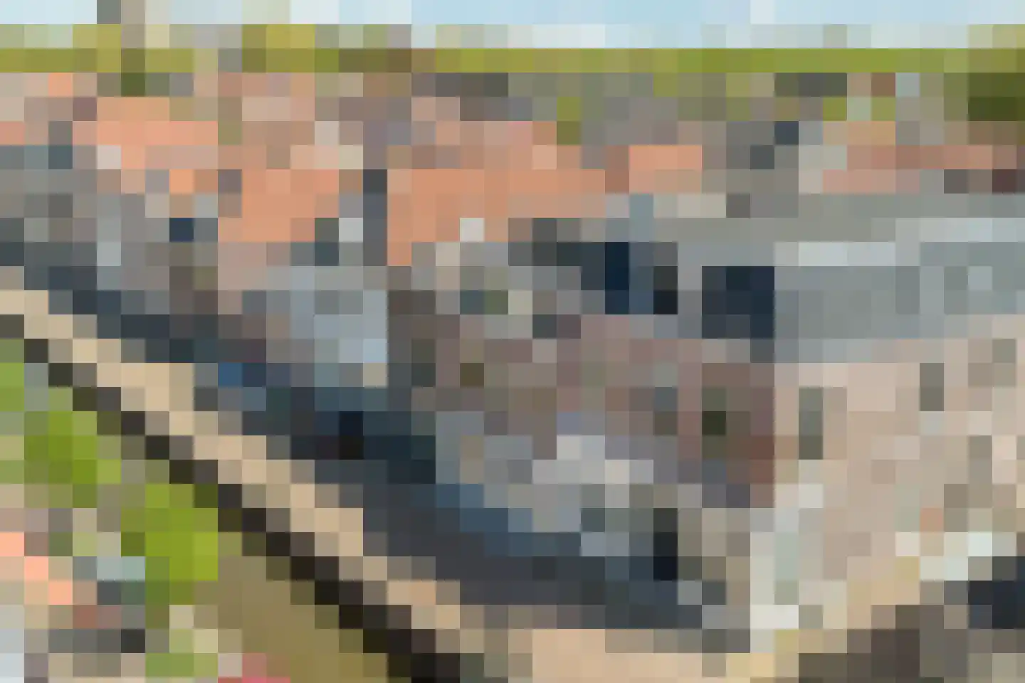 Kleine Dijlakker 2 Bolsward thumbnail 46