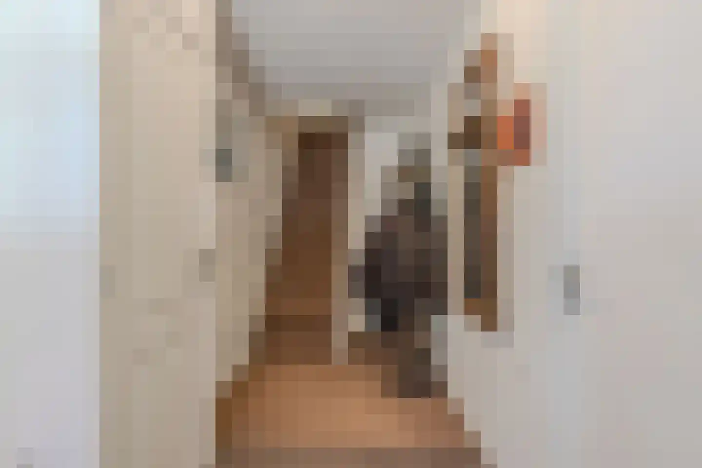 Kleine Dijlakker 2 Bolsward thumbnail 5
