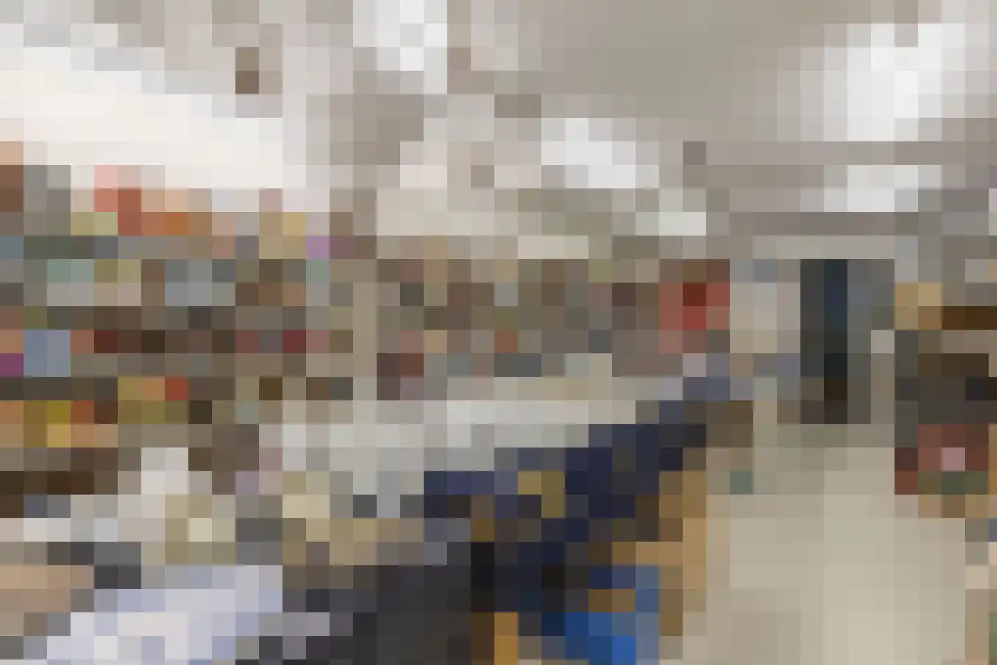 Kleine Dijlakker 2 Bolsward thumbnail 6