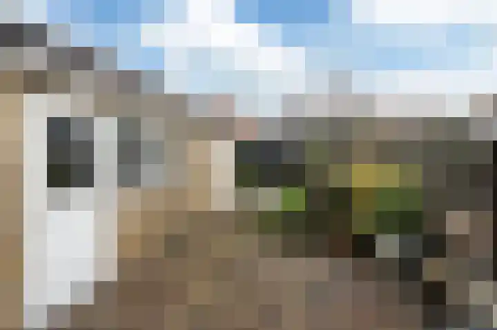 Kleine Dijlakker 25 Bolsward thumbnail 22